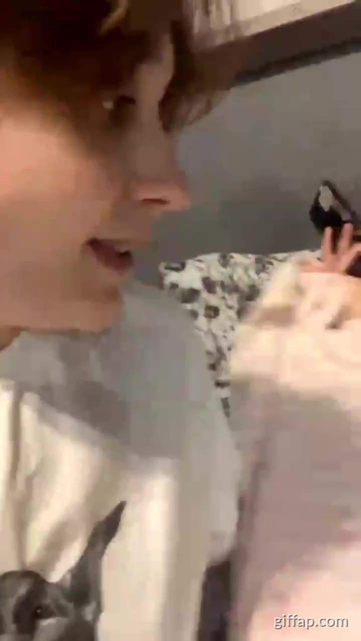 Lesbian friends are eating pussy.